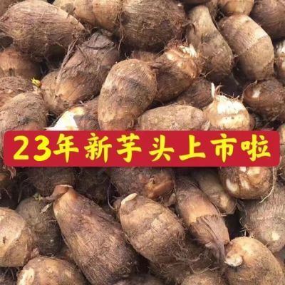 恩施富硒特产现挖香糯牛奶芋头香芋毛芋农家种植精品毛芋头包邮