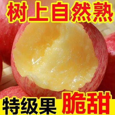 【爆甜多汁】新鲜水果脆甜冰糖心红富士丑苹果应季时令水果一整箱