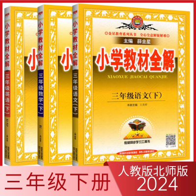 2024教材全解三年级下册人教版语文数学英语小学3年级教材全解