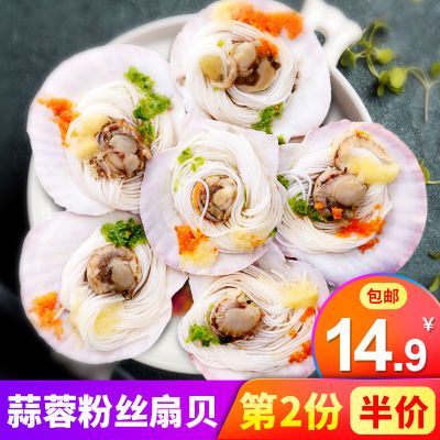 北戴河特产蒜蓉粉丝扇贝过节送礼品海鲜烧网红烤蒸扇贝夏夷贝即食【8月28日发完】