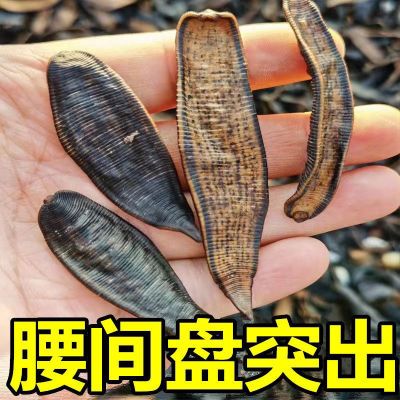 【假一赔十】拔毒经络通风湿关节腰间盘百邦奇灵肩周腿脚腰颈椎