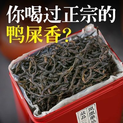 特级浓香型清香型单枞2023散装新茶凤凰正宗单丛潮州罐装批发茶叶