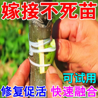 嫁接伤口愈合剂果树嫁接植物盆景花卉树木伤口剪口防护专用促活液