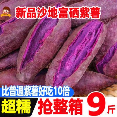 【万人疯抢】紫薯新鲜板栗红薯番薯地瓜蜜薯糖心山芋香薯农家自种