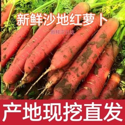 陕西沙地水果红萝卜5斤9整箱纯天然非转基因现挖现发红皮特级新鲜