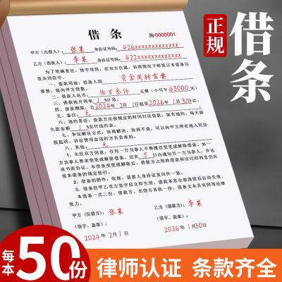 借据条正规2024新款工人借支本预支欠款条借条借据民间个人二联