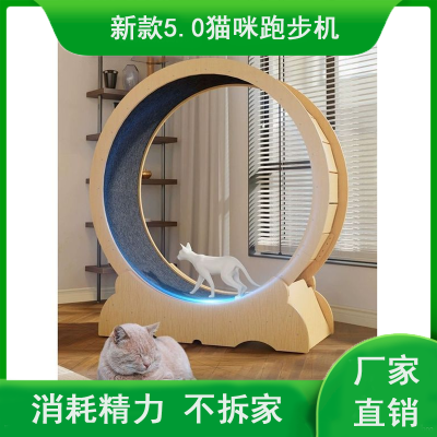 转动玩具猫咪跑步机大号运动健身滚动圆筒玩具猫运动玩具爬架抓板