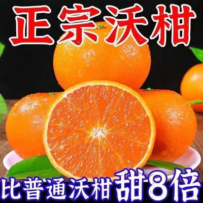 【精选】正宗云南高山沃柑新鲜橘子水果应季水果薄皮桔子整箱包邮