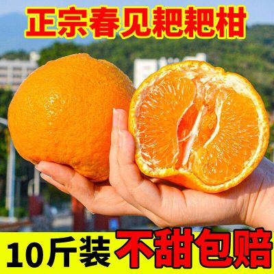 超甜四川春见耙耙柑粑粑柑桔子橘子薄皮手剥新鲜水果非丑橘不知火