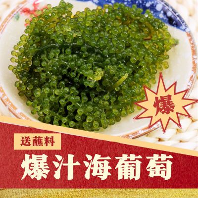 盐渍海葡萄100g海带丝新鲜即食海藻菜小零食裙带菜寿司绿色菜