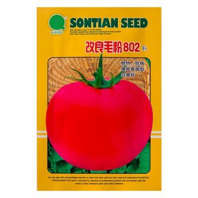 改良毛粉802西红柿种子大果粉番茄种子大西红柿高产大田蔬菜种子