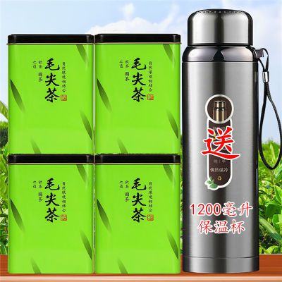 【送保温杯】明前毛尖茶2023嫩采浓香毛尖绿茶耐泡自己喝送礼皆可