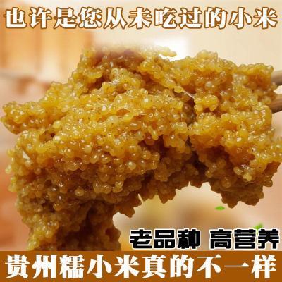 贵州糯小米软糯高黏度新米批发做小米渣小米鲊粉蒸肉扣肉包粽子