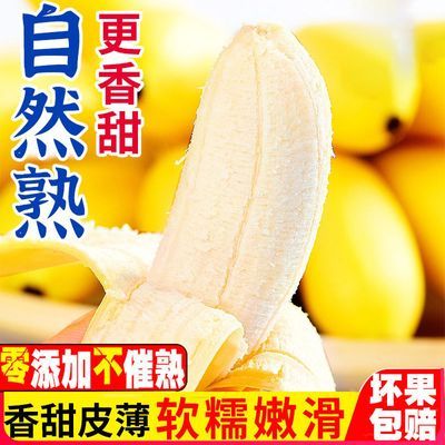 正宗现摘广西小米蕉当季新鲜水果芭蕉苹果蕉自然熟香蕉一整箱包邮