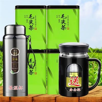 【送隔热办公杯  保温杯】2023新茶毛尖高山云雾茶浓耐泡绿茶