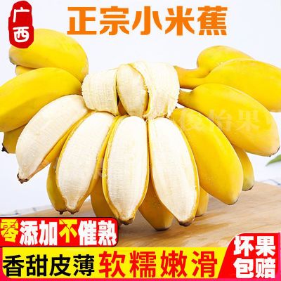 广西正宗小米蕉新鲜一整箱包邮当季水果香蕉芭蕉皇帝蕉自然熟香蕉