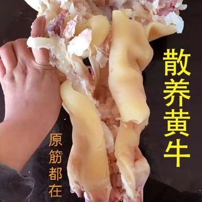 新鲜草饲黄牛牛蹄子去骨剔骨牛蹄子整只半熟脱骨牛脚牛蹄筋大牛腿