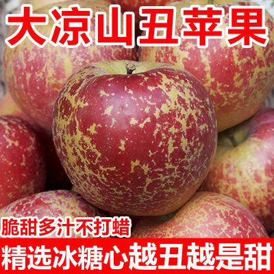 【冰糖心丑苹果】正宗大凉山丑苹果甜脆应季新鲜富士苹果水果批发
