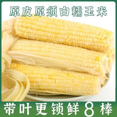 东北特产带叶白糯玉米2023年甜糯粘大棒批发庆一带皮糯玉米带