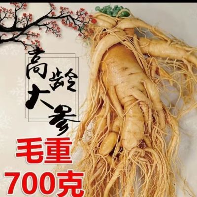 正宗长白山保鲜鲜参特大人参东北特产泡酒产地煲汤补气血新鲜批发