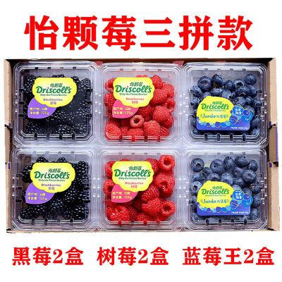 云南新鲜怡颗莓黑树莓红树莓蓝莓单盒125g孕妇水果覆盆子顺丰包邮
