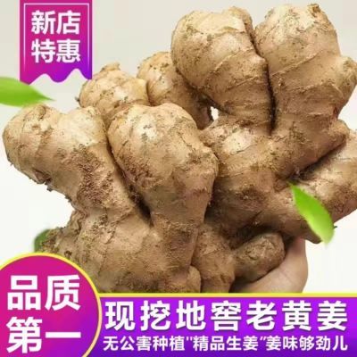 正宗山东安丘沙姜.新鲜生姜.黄姜.现挖窖藏农家大姜批发3/5斤