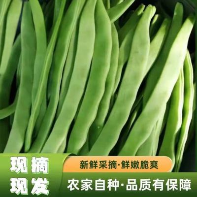 云南现摘扁豆四季豆刀豆无筋豆芸豆荷兰豆当季现摘新鲜蔬菜3/5/10