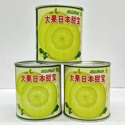 大果日本甜宝奶香薄皮甜瓜种子高产甜香瓜种籽不裂果香瓜大田种孑