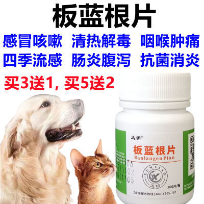 兽用犬猫禽畜通用板蓝根感冒咳嗽清热四季流感流鼻涕饲料添加剂