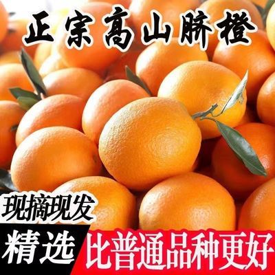 【批发价】正宗高山脐橙新鲜橙子手剥橙应季新鲜水果非赣南橙整箱