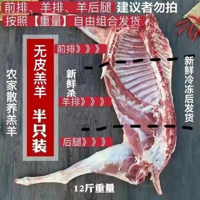 【半只羊】新鲜羊肉五斤草原羊羔本地散养全羊整只羊排