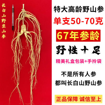 野山参67年特大野生人参干参林下参人参泡酒煲汤长白山人参礼盒装