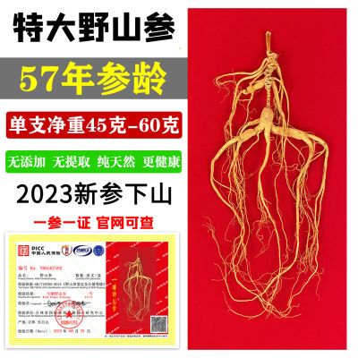 【国标一等证】长白山人参野山参57年野生人参干参批发林下参礼盒