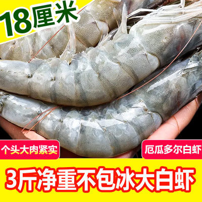 特大号盐冻白虾新鲜厄瓜多尔白虾30/40净重3斤海鲜烧烤食材半成品