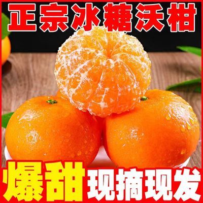 【精选沃柑】广西武鸣沃柑贵妃柑新鲜橘子水果应季水果薄皮桔子