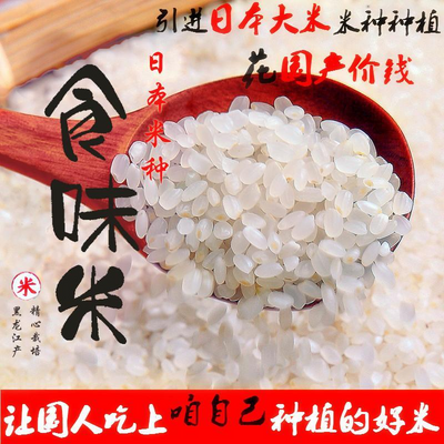 越食味光米寿司米日本米种5斤珍珠越光大米料理专用米 东北产新米