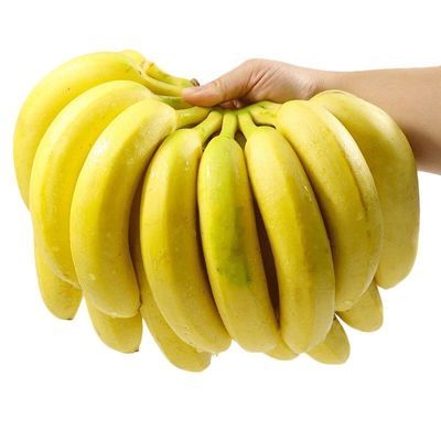云南广西高山香蕉水果整箱薄皮当季批发新鲜包邮10自然芭蕉小米