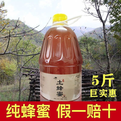 纯蜂蜜5斤装大瓶无添加剂天然农家自产土蜂蜜百花蜜正宗蜂蜜壶装