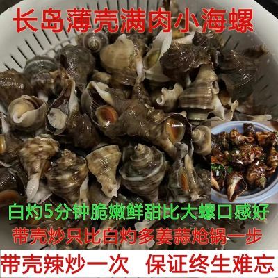 顺丰现捞】净4斤包活小海螺新鲜海螺适合麻辣捞汁酱爆非辣螺