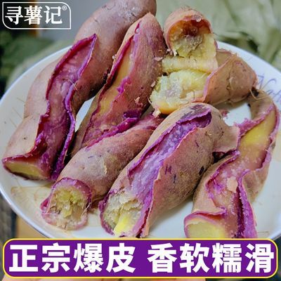 【寻薯记】广州正宗南沙一点红番薯精品 新鲜甜糯板栗香蜜薯整箱