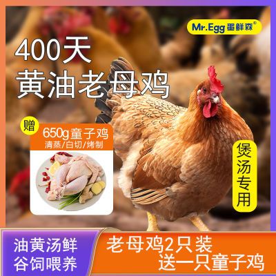 蛋鲜森400天黄油老母鸡2只4斤以上+650g谷饲无抗童子鸡一只现杀