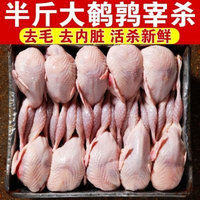 40只大号母鹌鹑新鲜鹌鹑肉速冻白条鹌鹑烧烤鹌鹑鸟现杀乳鸽一整箱