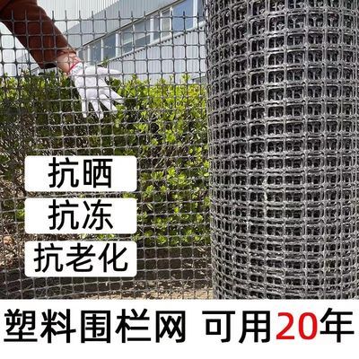 塑料网格围网胶网养殖鸡仔鸭鹅隔离网圈玉米网家用户外栅栏围栏网