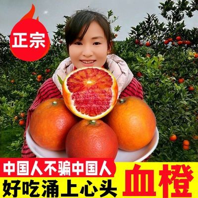 【次日达】塔罗科血橙橙子超甜正宗血橙应季新鲜水果冰糖橙批发价