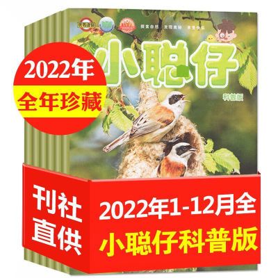 特价清仓过刊小聪仔2022-2024全年科普版1-12月份期刊杂志2-8岁