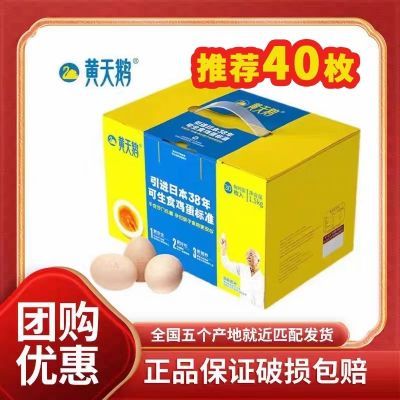 黄天鹅可生食新鲜鸡蛋40枚礼盒装溏心蛋温泉蛋