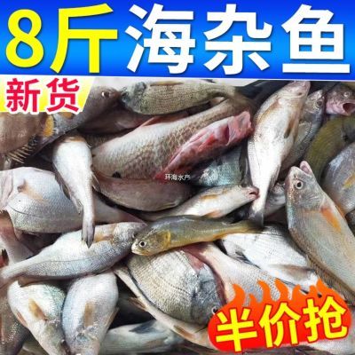 新鲜海杂鱼8斤5斤海鲜鱼类深海鱼黄鱼鲳鱼煲汤海鲜水产鲜活速冻