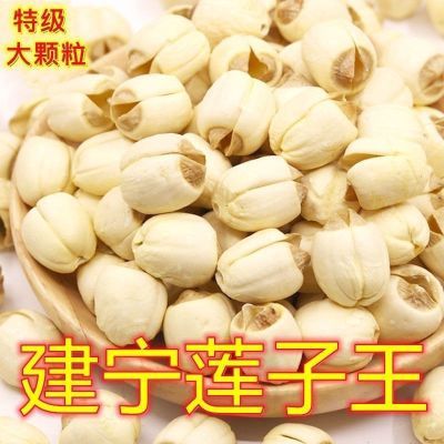 福建建宁正宗特级莲子王纯天然无硫野生去芯无芯新鲜白莲子批发价