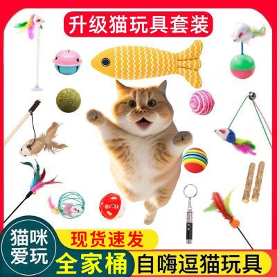 猫玩具套装自嗨解闷激光逗猫棒小猫玩具宠物羽毛幼猫猫咪用品大全