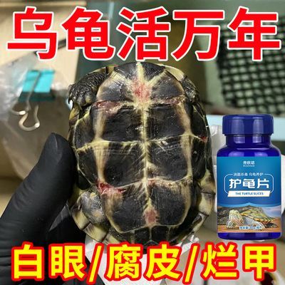 乌龟腐皮药白眼腐甲甲药药烂皮肤专用消炎护龟宝草本龟用护龟片